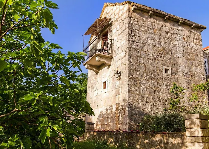 Old Small Stone House 公寓 Zrnovo